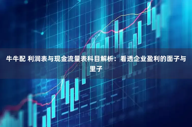 牛牛配 利润表与现金流量表科目解析：看透企业盈利的面子与里子