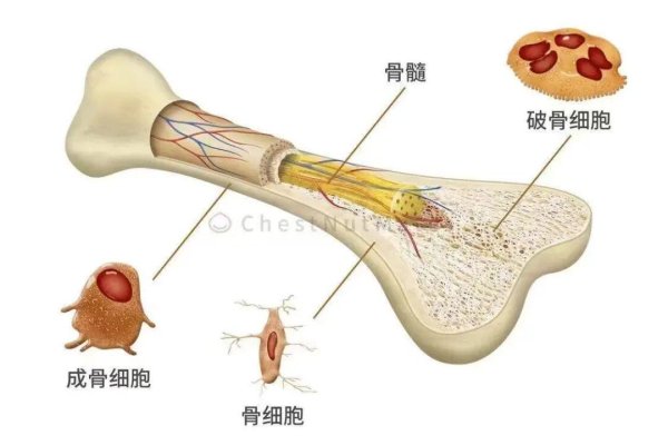 永旺配资端 这种「通便」很厉害的水果，对女性还有额外好处！