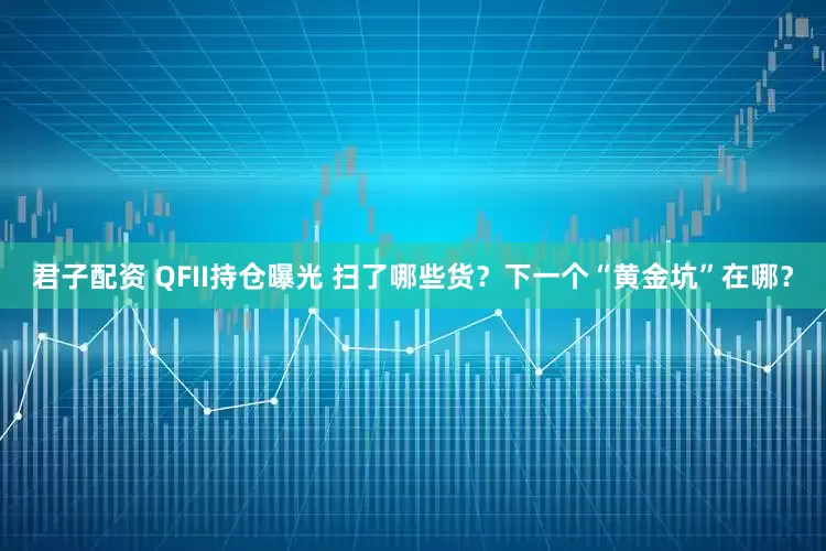 君子配资 QFII持仓曝光 扫了哪些货？下一个“黄金坑”在哪？